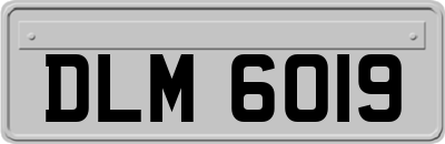 DLM6019