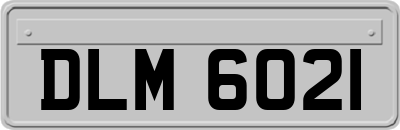 DLM6021