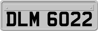 DLM6022
