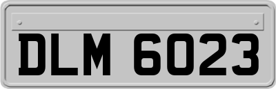 DLM6023