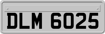 DLM6025