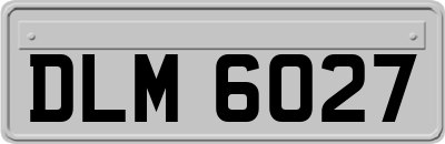 DLM6027