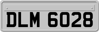 DLM6028