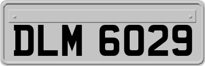 DLM6029