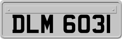 DLM6031