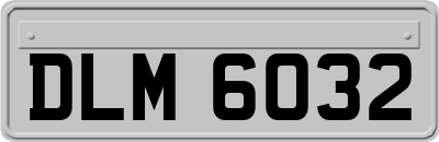DLM6032