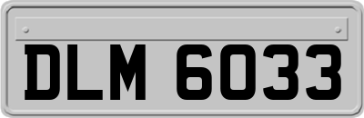 DLM6033
