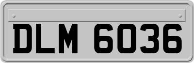 DLM6036