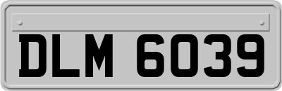 DLM6039