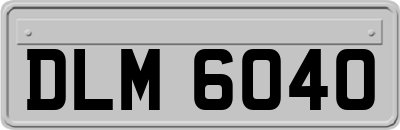 DLM6040