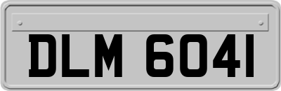DLM6041
