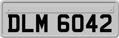 DLM6042