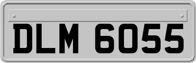DLM6055