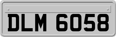 DLM6058