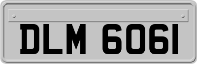 DLM6061
