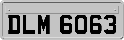 DLM6063