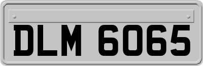 DLM6065