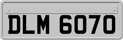 DLM6070