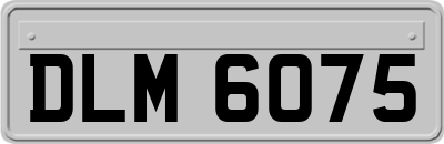 DLM6075