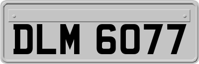 DLM6077