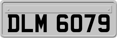 DLM6079