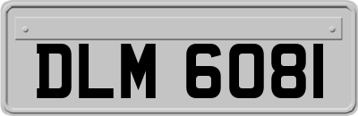 DLM6081