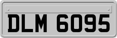 DLM6095