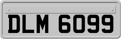 DLM6099