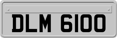 DLM6100
