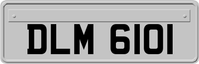 DLM6101