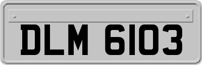 DLM6103
