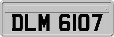 DLM6107