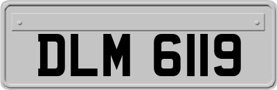 DLM6119