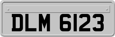 DLM6123