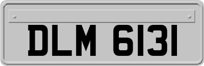 DLM6131