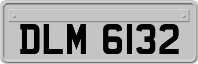 DLM6132