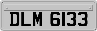 DLM6133