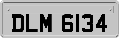 DLM6134