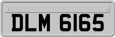 DLM6165