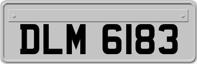 DLM6183