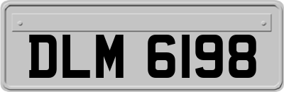 DLM6198