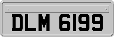 DLM6199