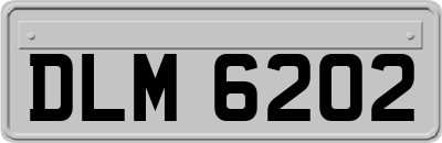 DLM6202