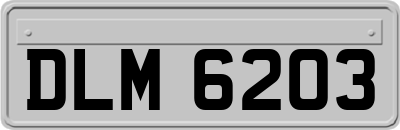 DLM6203