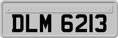 DLM6213
