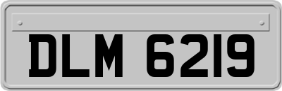 DLM6219