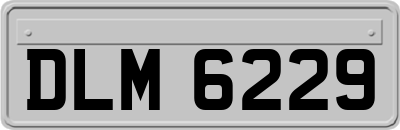 DLM6229