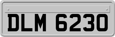 DLM6230