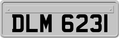 DLM6231