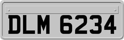 DLM6234